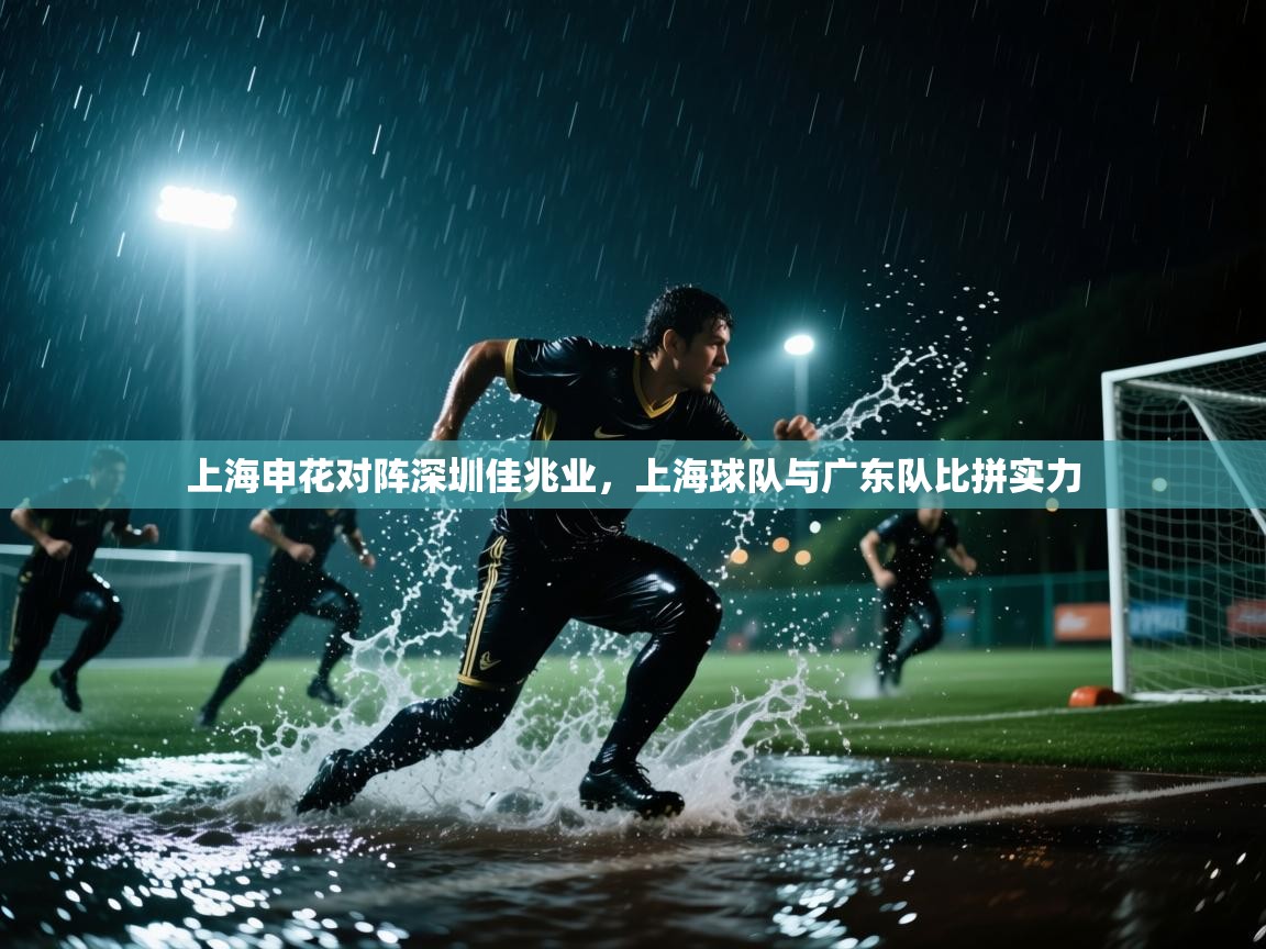 上海申花对阵深圳佳兆业，上海球队与广东队比拼实力